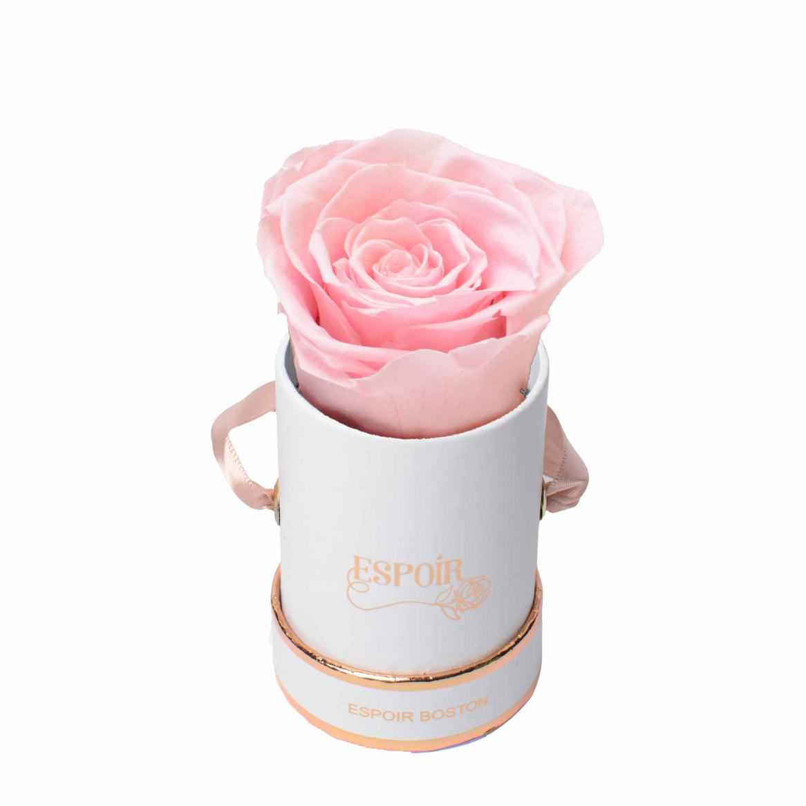 The Tea Cup Rose