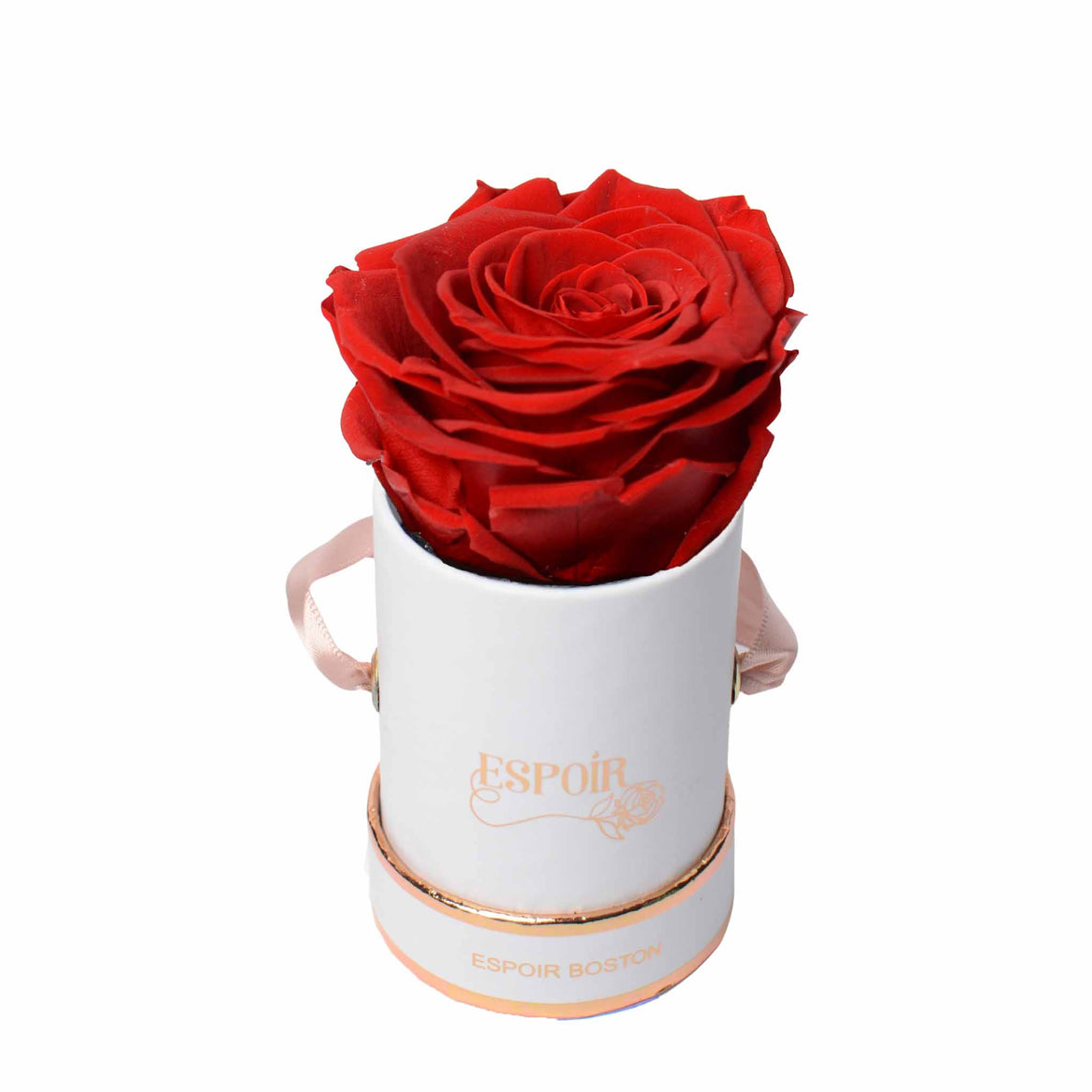The Tea Cup Rose