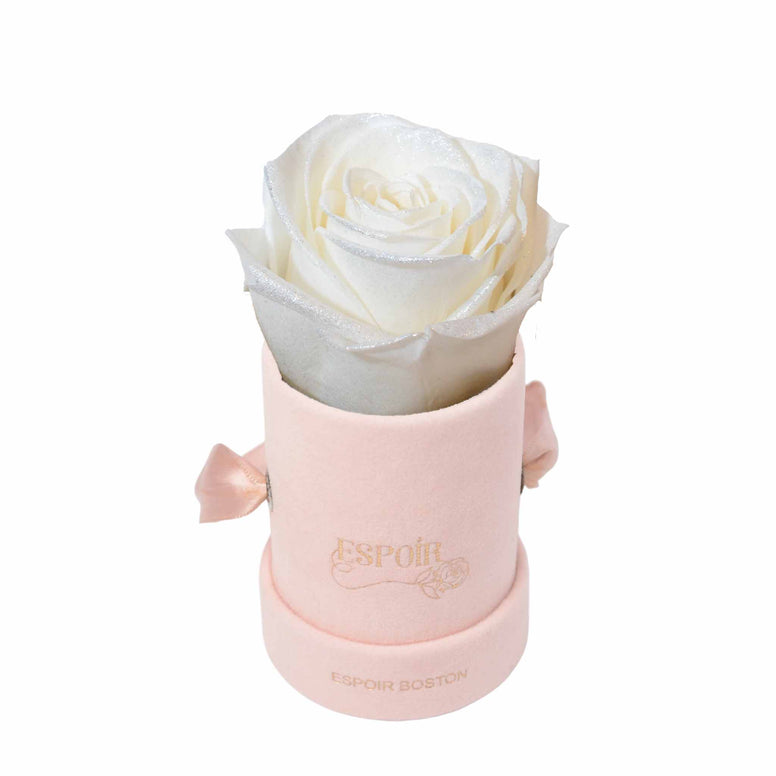 The Tea Cup Rose