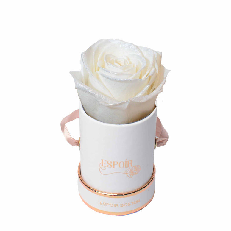 The Tea Cup Rose