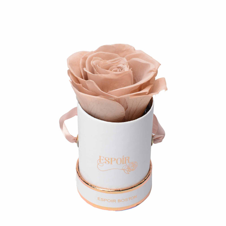 The Tea Cup Rose