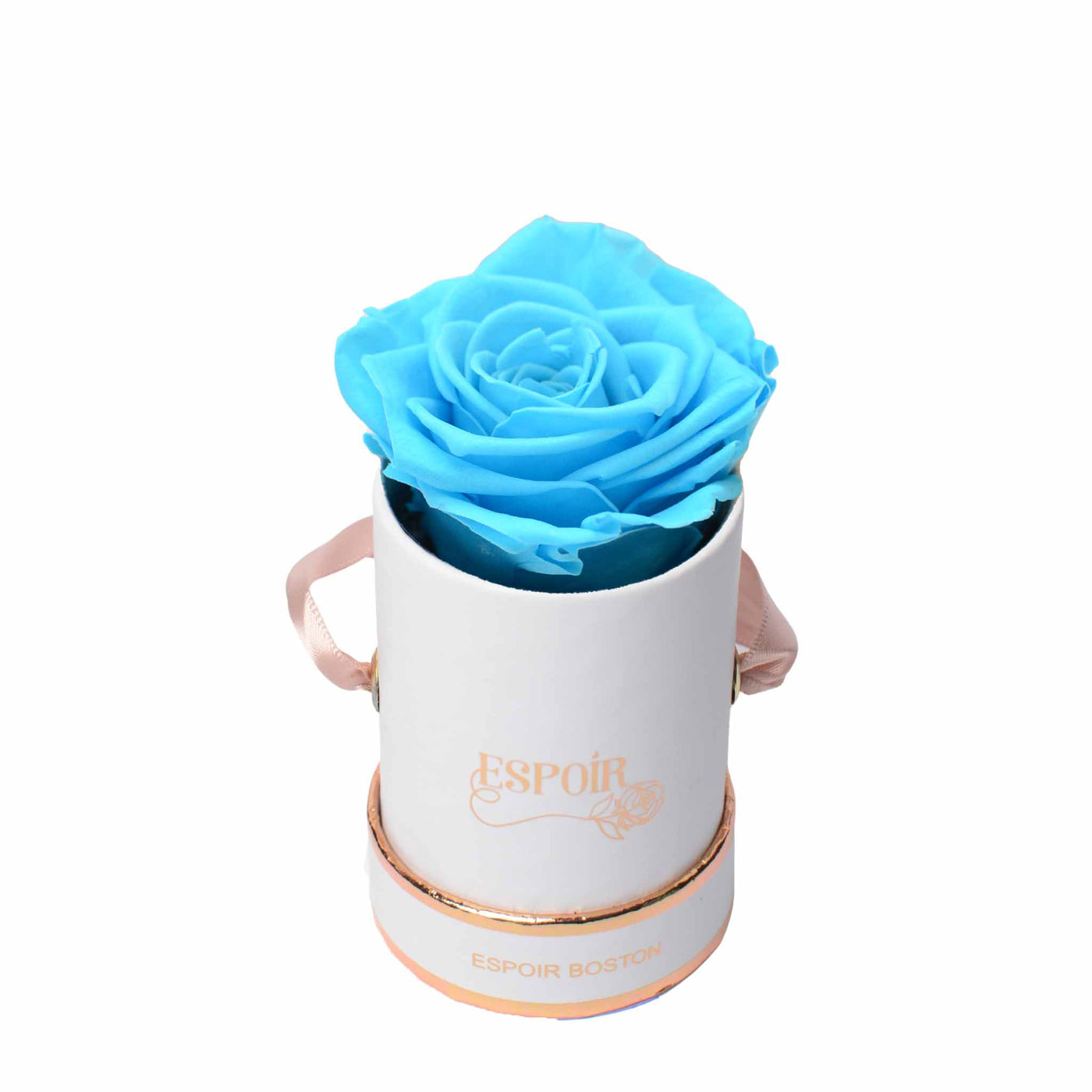 The Tea Cup Rose